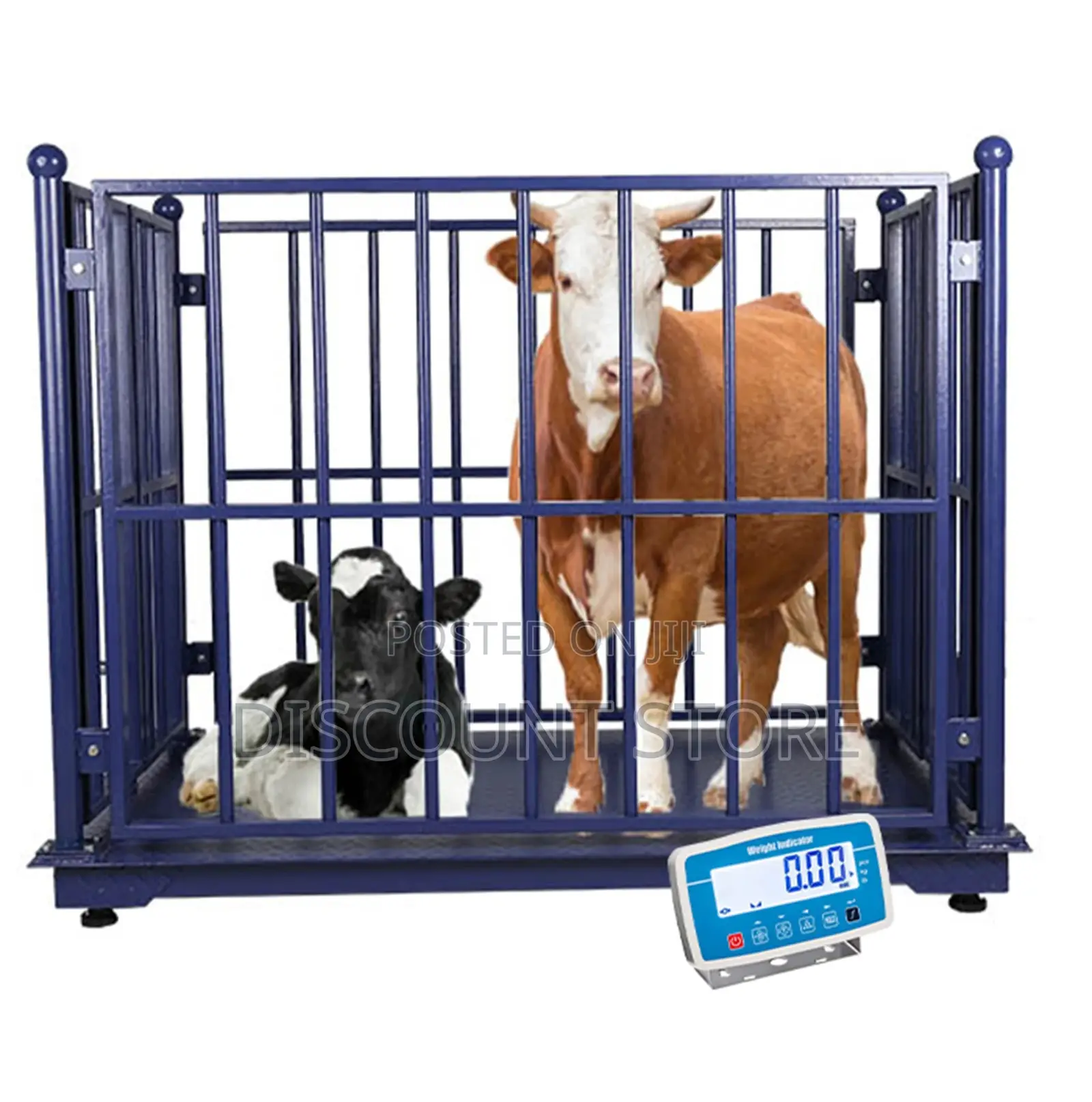 Modern Electric Animal Weigh Scales