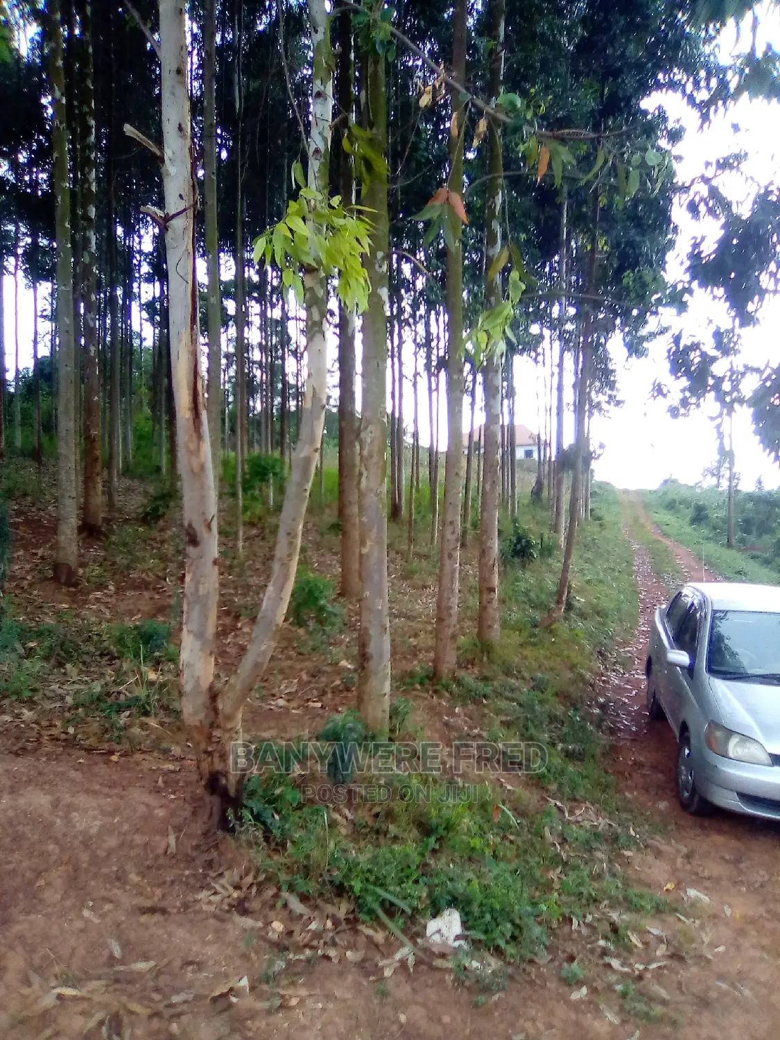 50/100 Plot for Sale in Nakaseta