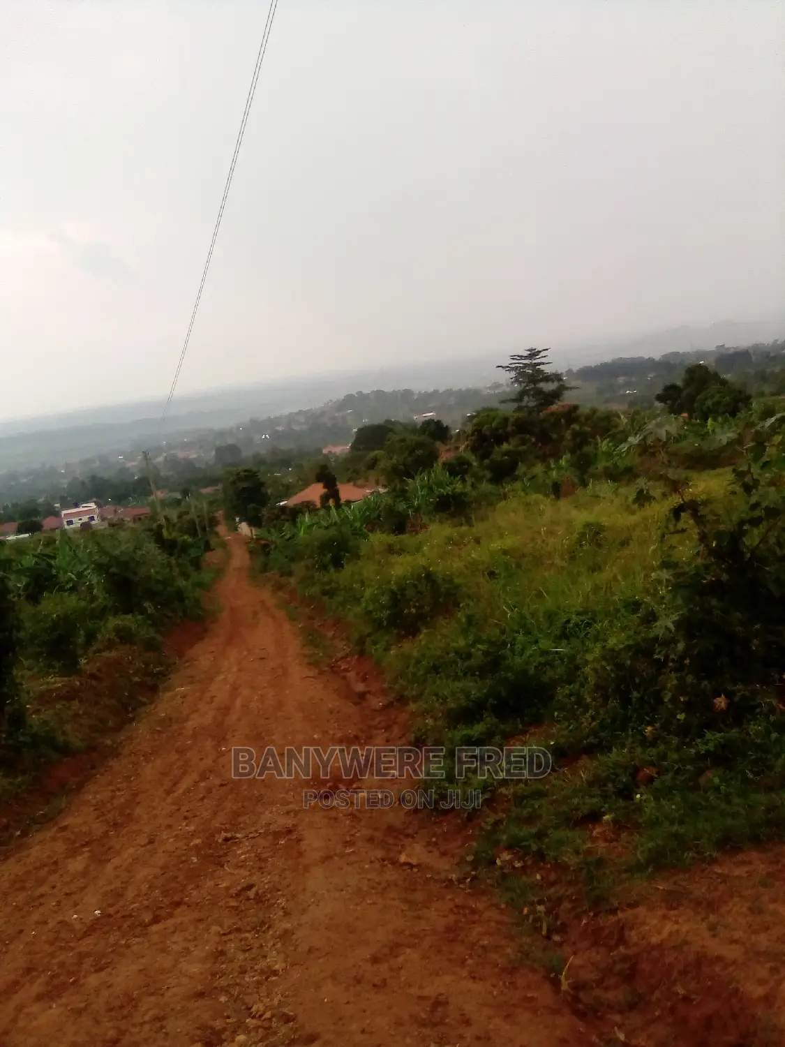 50/100 Plot for Sale in Nyenga