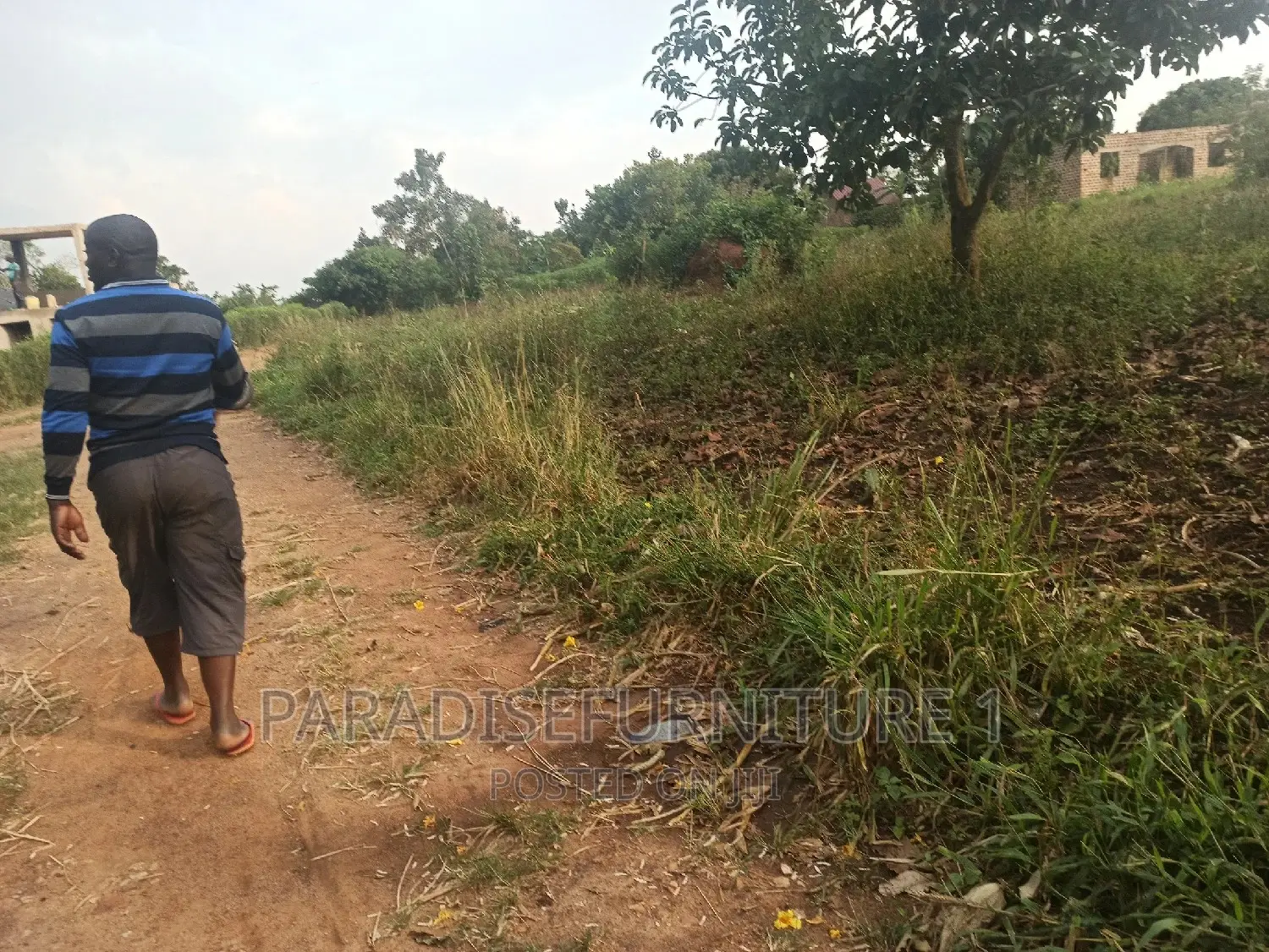 Plot on Sale 50*100ft 8.5m