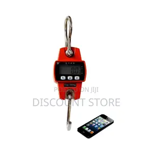 Programmable Crane Weigh Scales