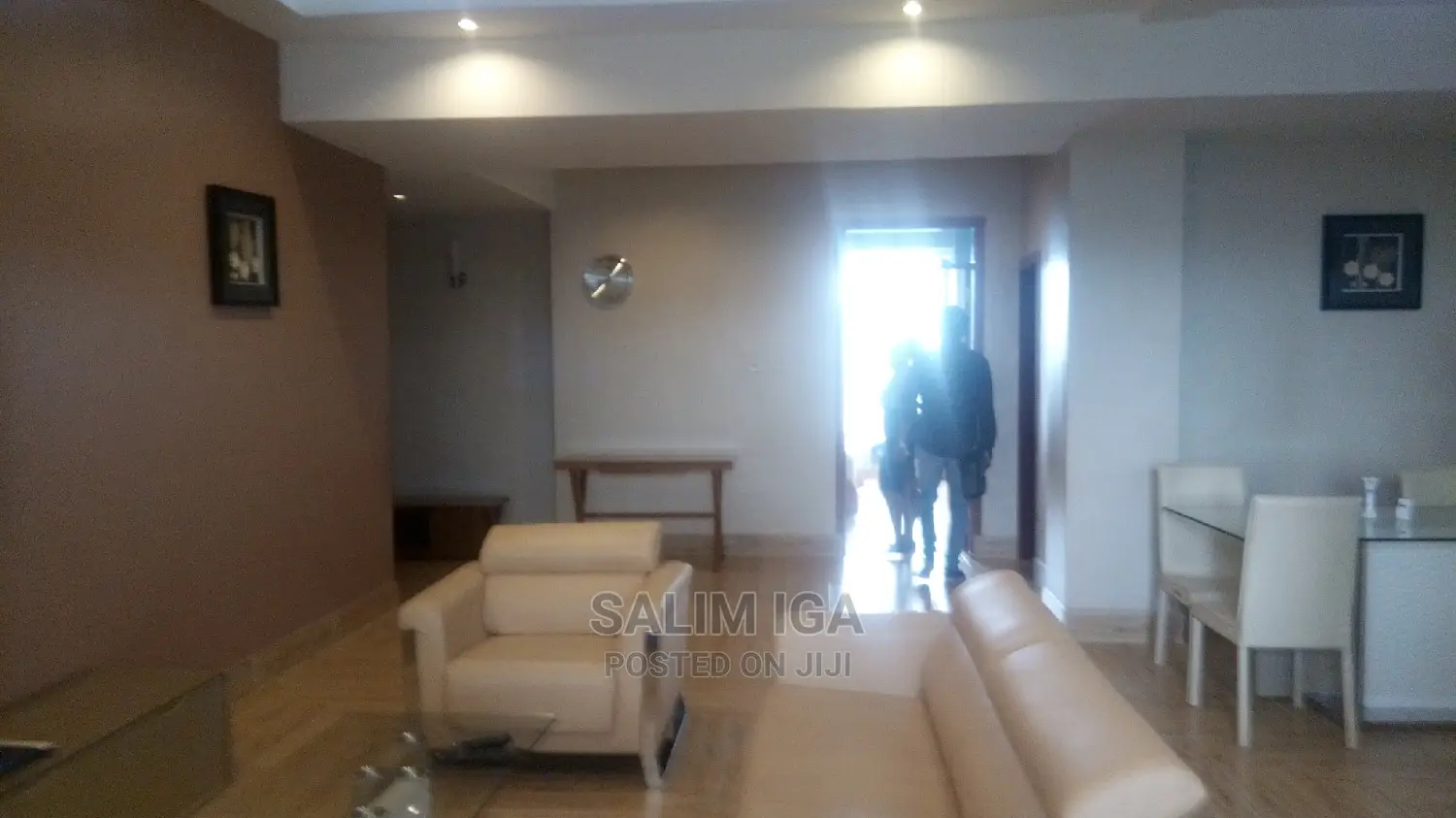 Furnished 2bdrm Block of Flats in Kololo Property, Central Division