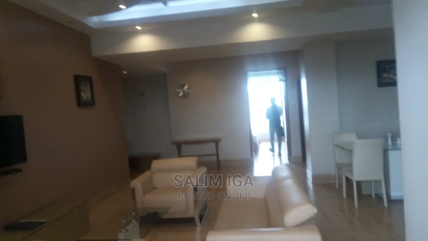 Furnished 2bdrm Block of Flats in Kololo Property, Central Division
