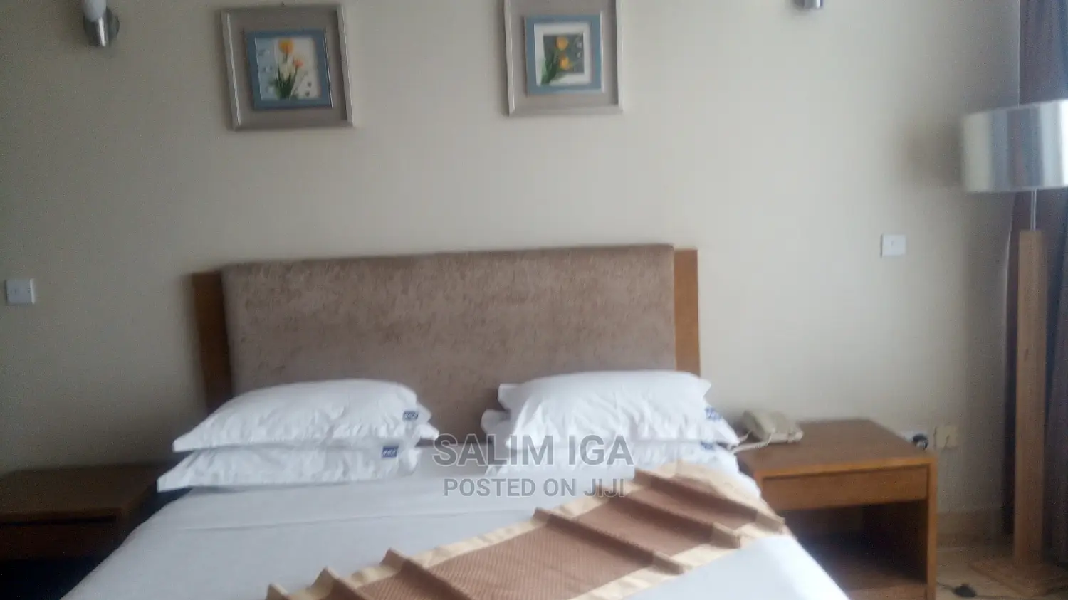 Furnished 2bdrm Block of Flats in Kololo Property, Central Division