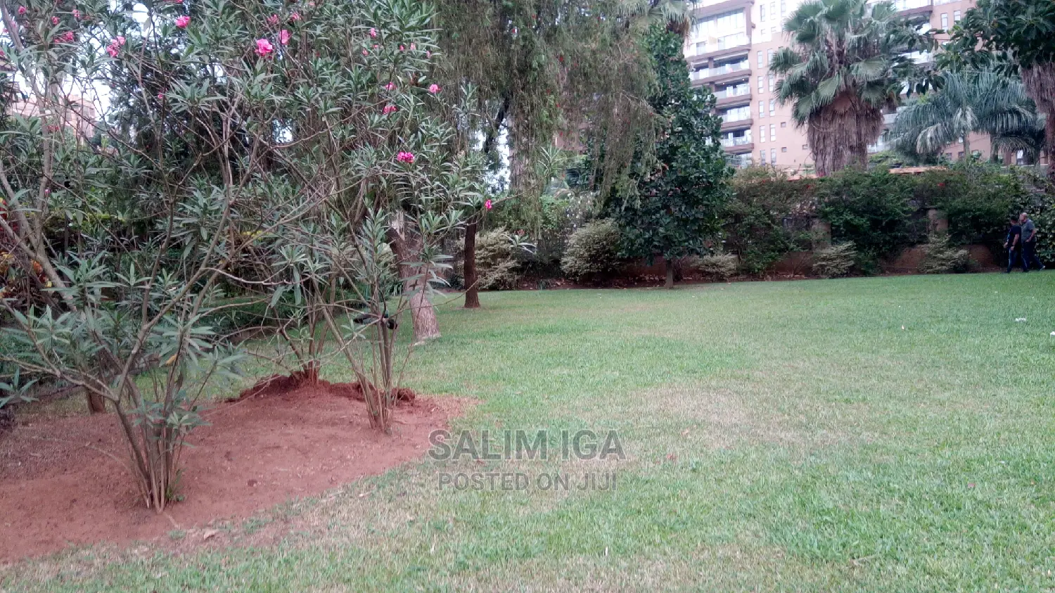 Furnished 2bdrm Block of Flats in Kololo Property, Central Division