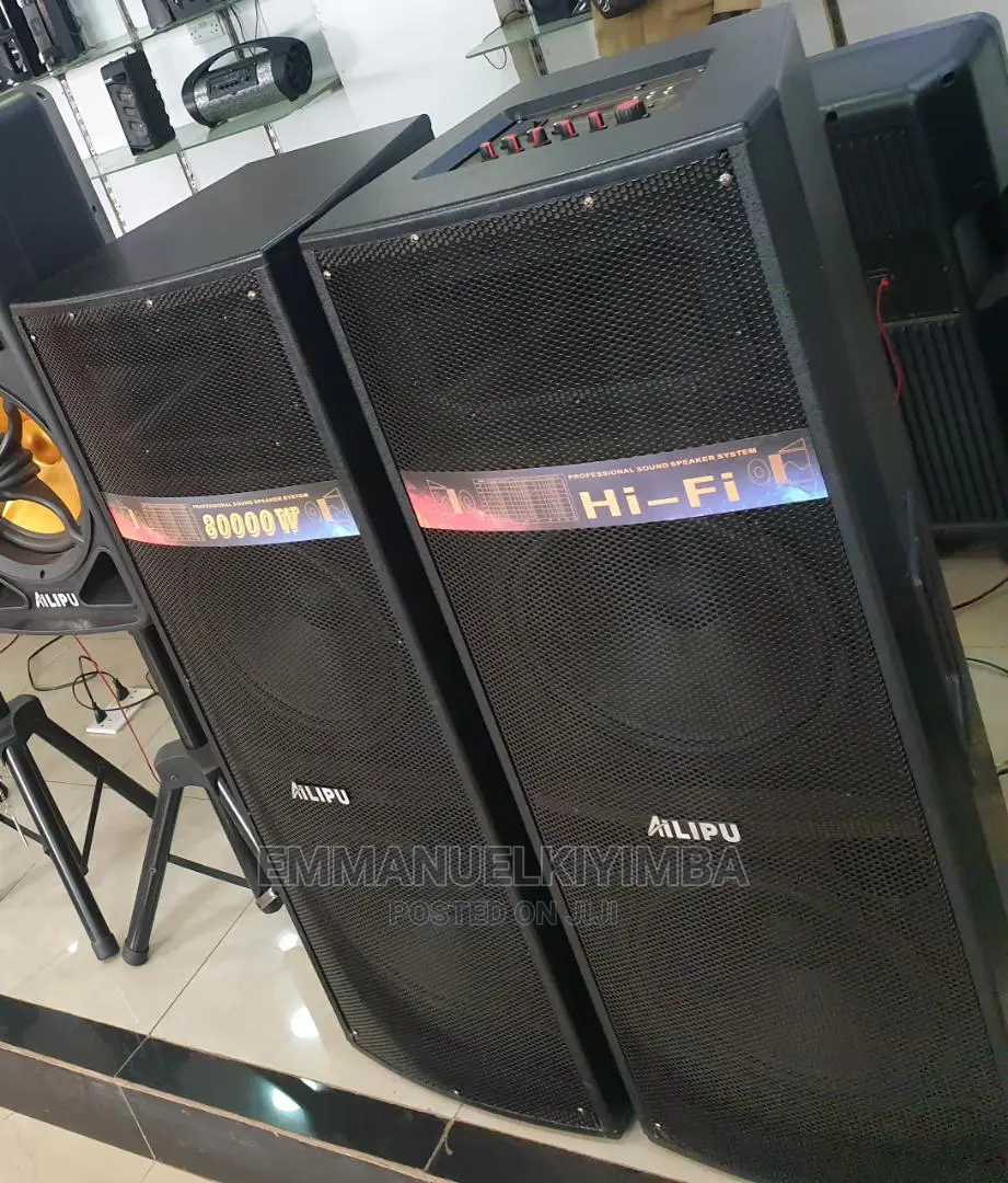 Ailipu 9048 Amplified Speaker