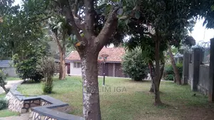 4bdrm Bungalow in Kololo Property, Central Division for Rent