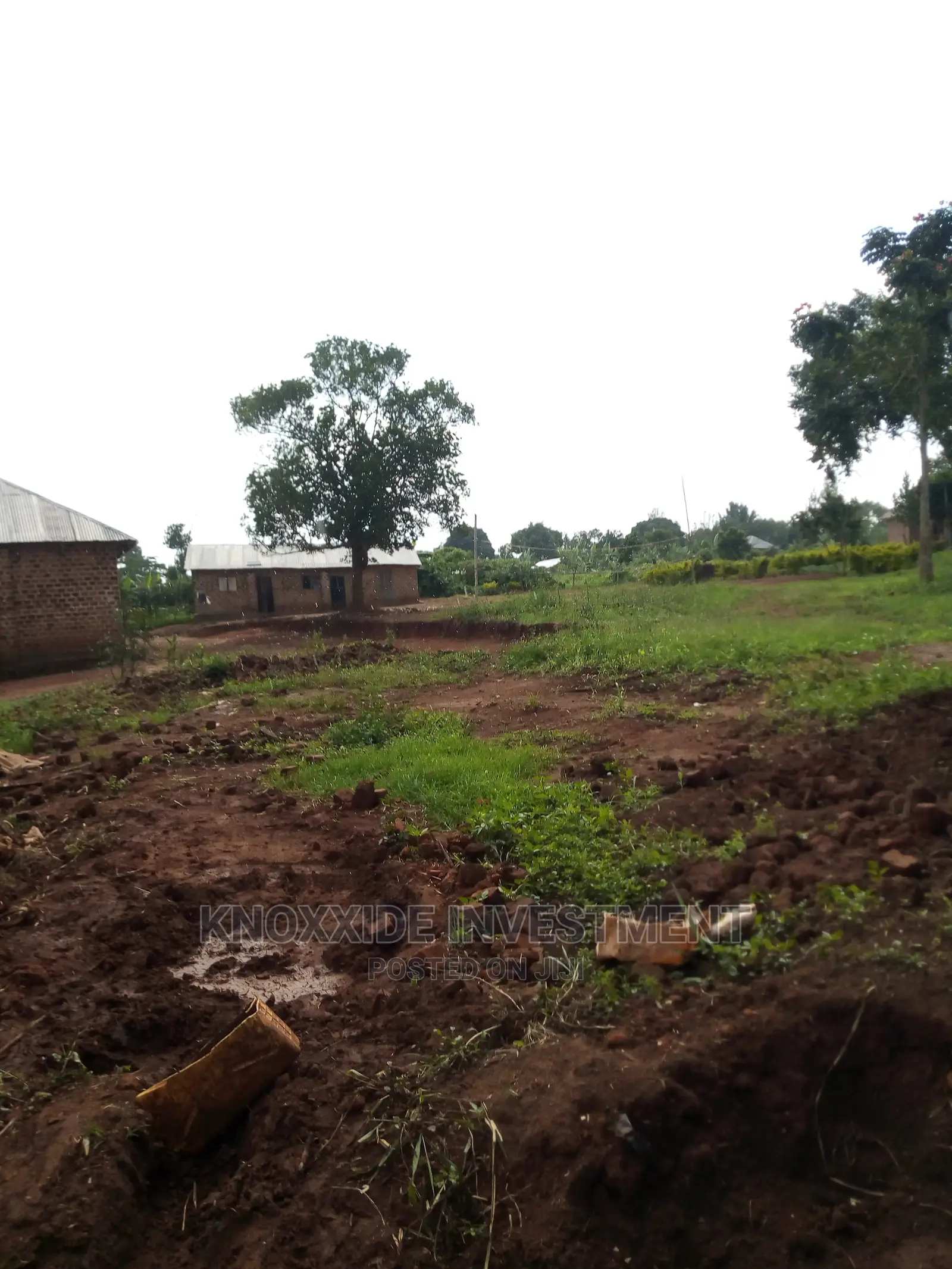 Land 4 Sale 4 Acre Katikamu Kiberenge Kikyusa Road