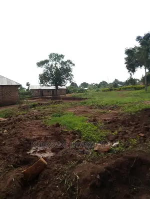 Land 4 Sale 4 Acre Katikamu Kiberenge Kikyusa Road