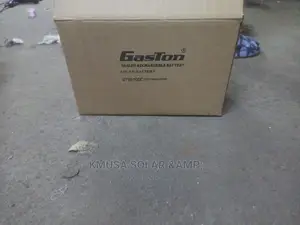 12/100ah Gaston Battery
