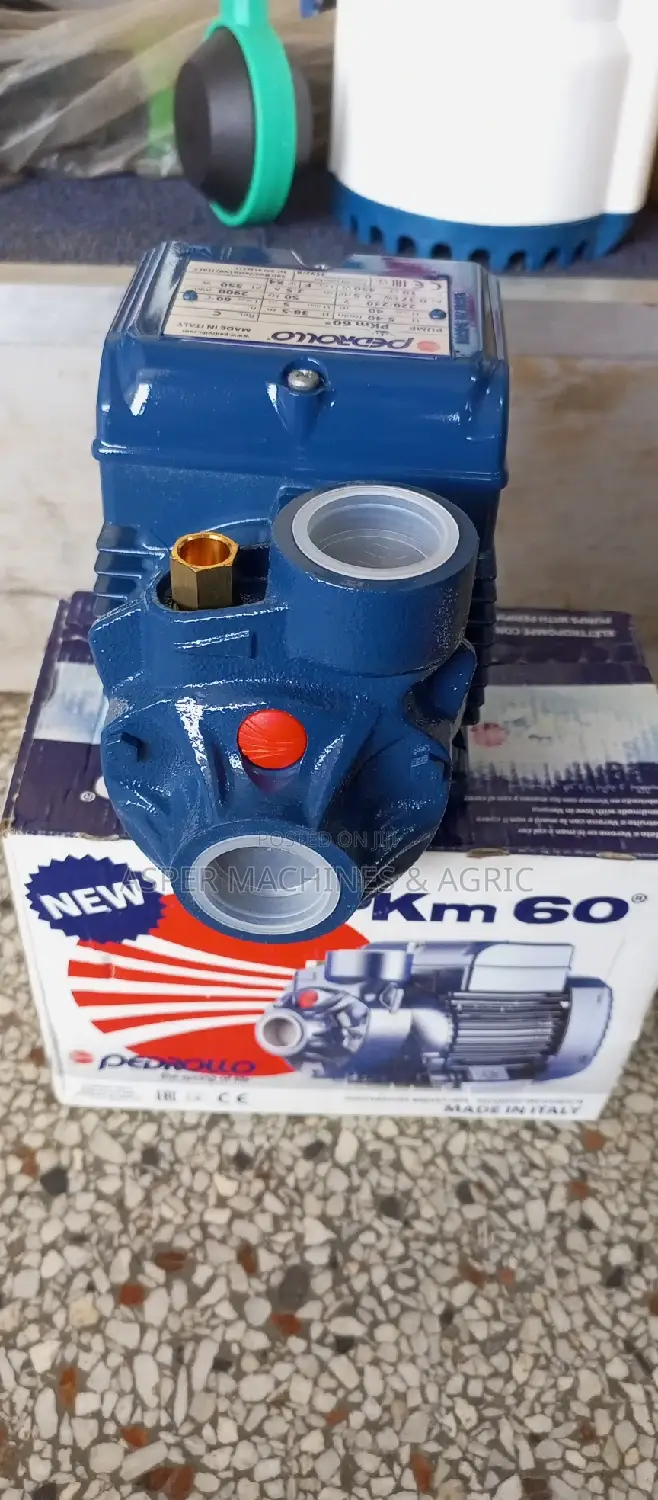 Pedrollo Pkm60 Booster Pump