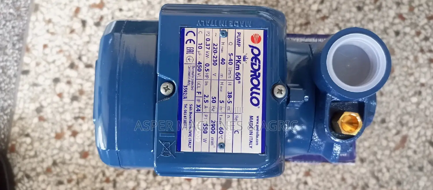 Pedrollo Pkm60 Booster Pump