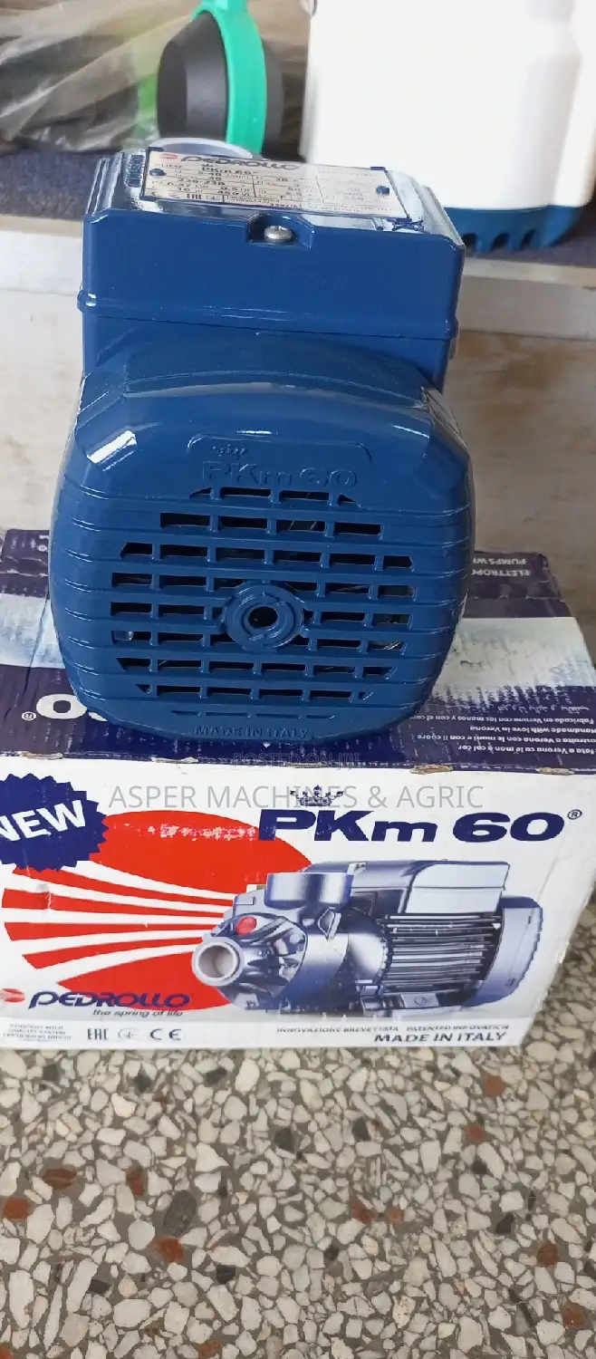 Pedrollo Pkm60 Booster Pump