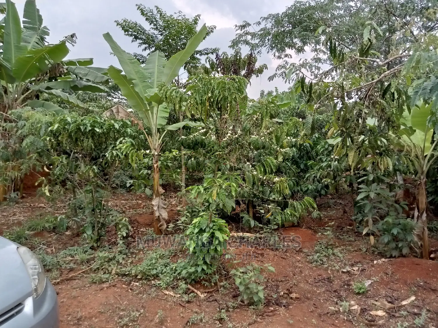 2acres for Sale in Kikyusa