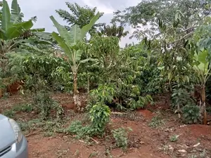 2acres for Sale in Kikyusa