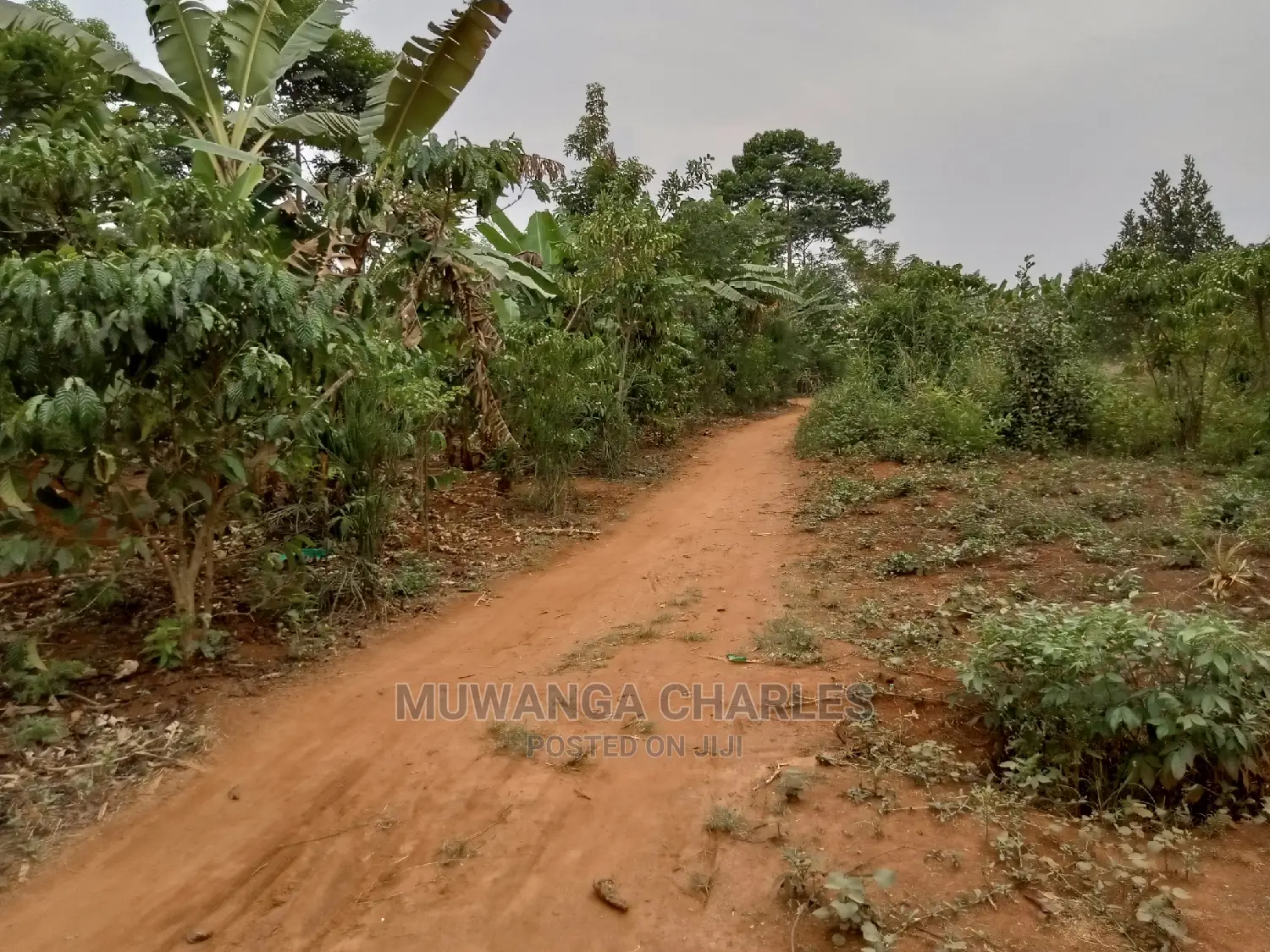 2acres for Sale in Kikyusa