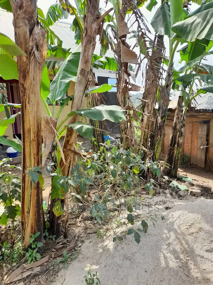 15decimals for Sale in Bukoto