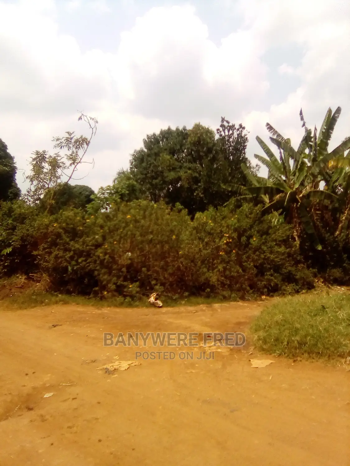 50/100 Plot for Sale in Katizi