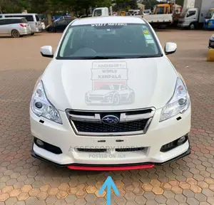 Universal Bumper Lip Protector