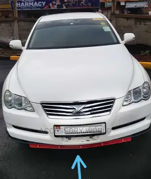 Universal Bumper Lip Protector