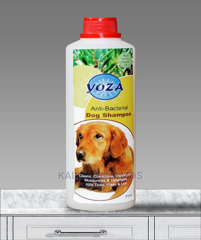 Dog Shampoo in Central Division Pet Accessories, Kalizaani Amos Jiji.ug