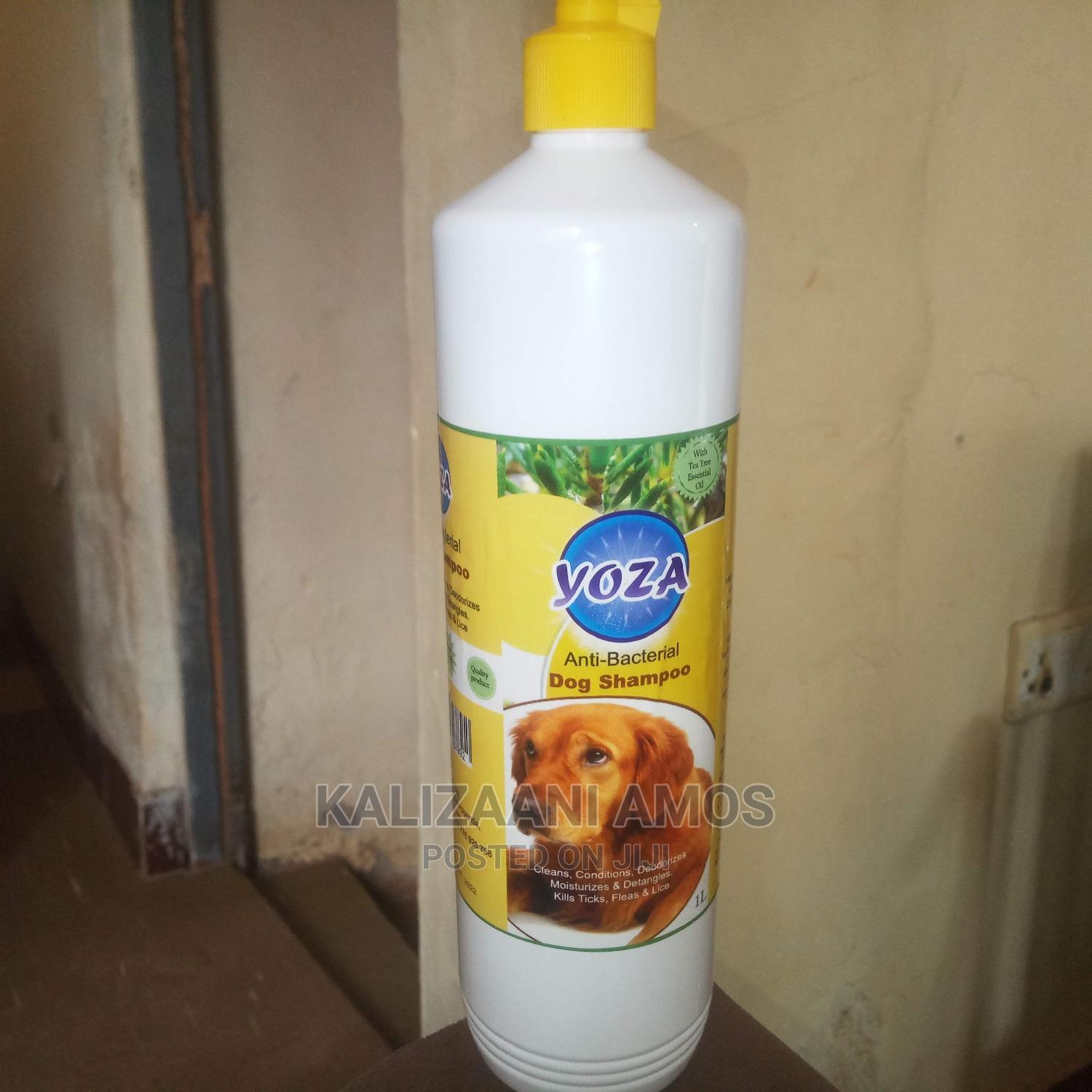 Dog Shampoo in Central Division Pet Accessories, Kalizaani Amos Jiji.ug