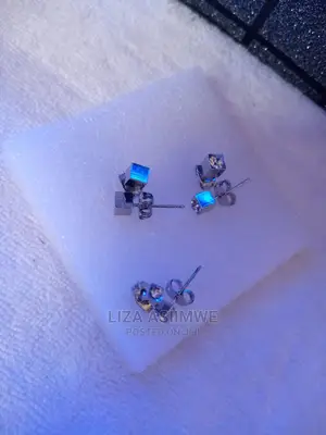 Simple Lady Ear Pins Available Each Pair Is at 5 Thousand
