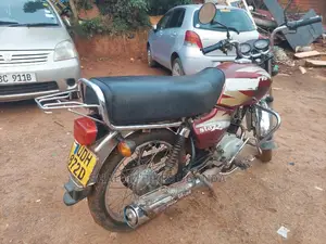 TVS 2017 Brown