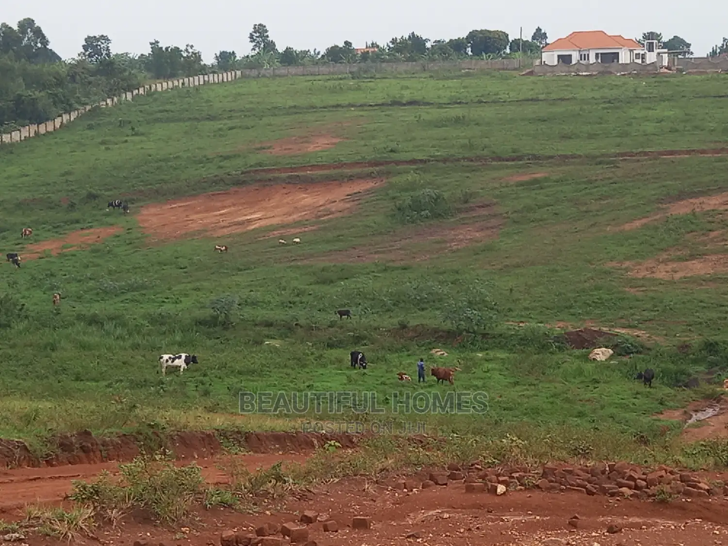 100*100 in Kasangati Gated Neigborhood,Quicksell