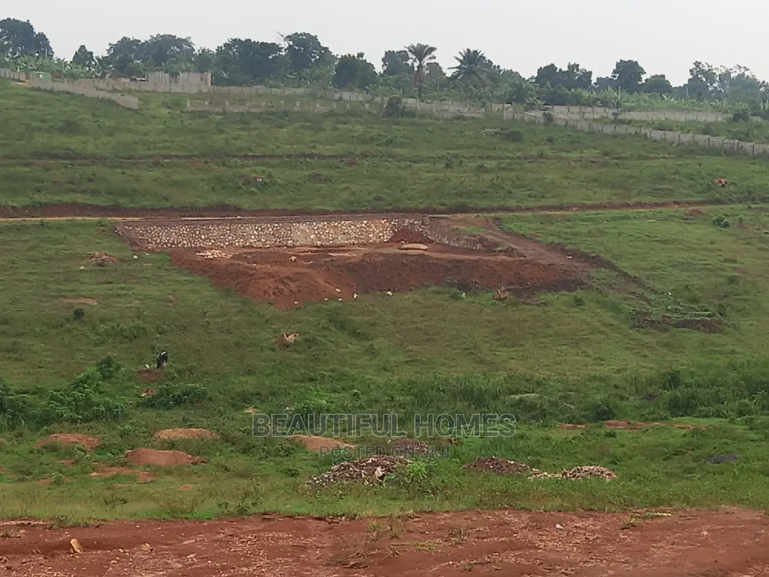 Kasangati Two Classy Plots in Gated Environment