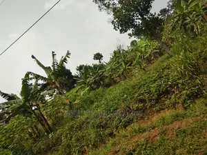 Photo - Commercial Land for Sale