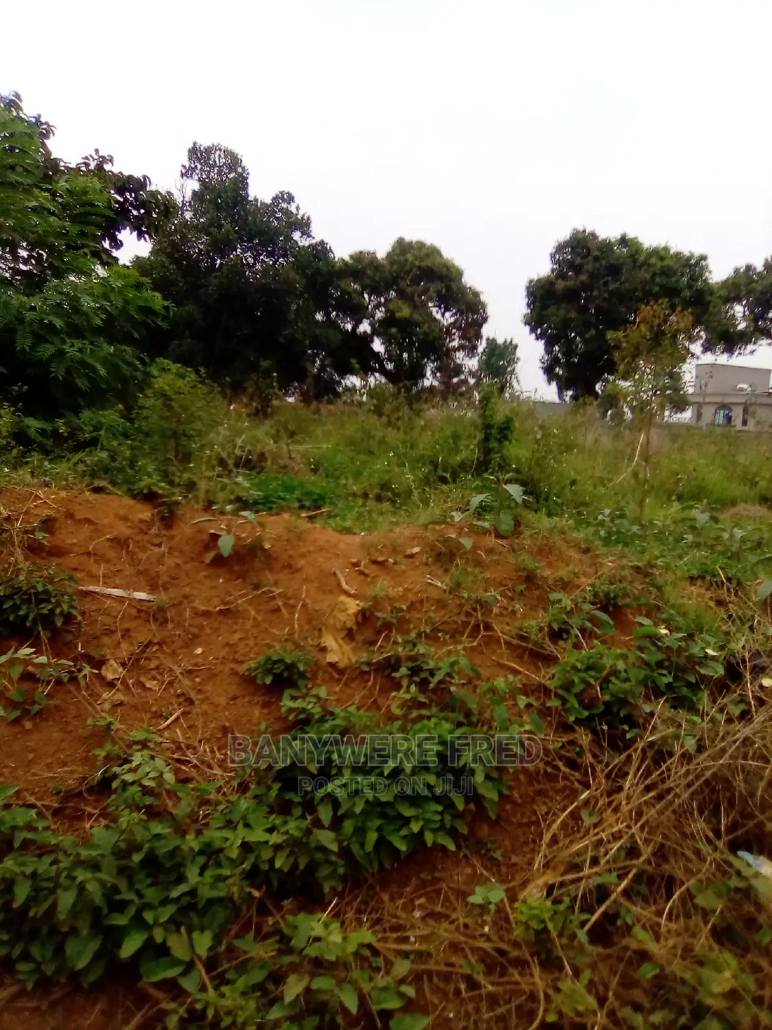 50/100 Plot for Sale in Mawagala Tranding Centre