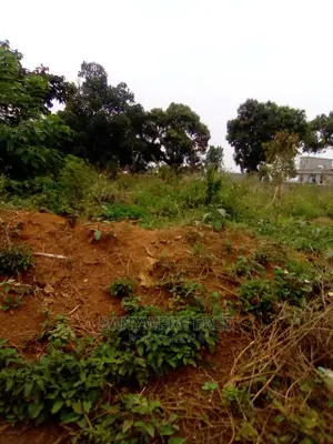 50/100 Plot for Sale in Mawagala Tranding Centre