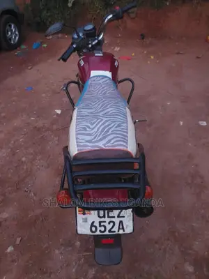 TVS Apache 160 4V 2020 Green