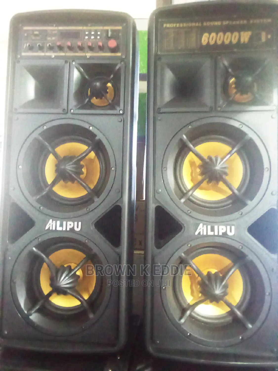 Heavy Duty Alipu Amplified Speakers