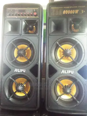 Heavy Duty Alipu Amplified Speakers