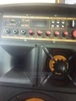 Heavy Duty Alipu Amplified Speakers