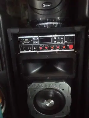 Alipu Party Speaker 9036