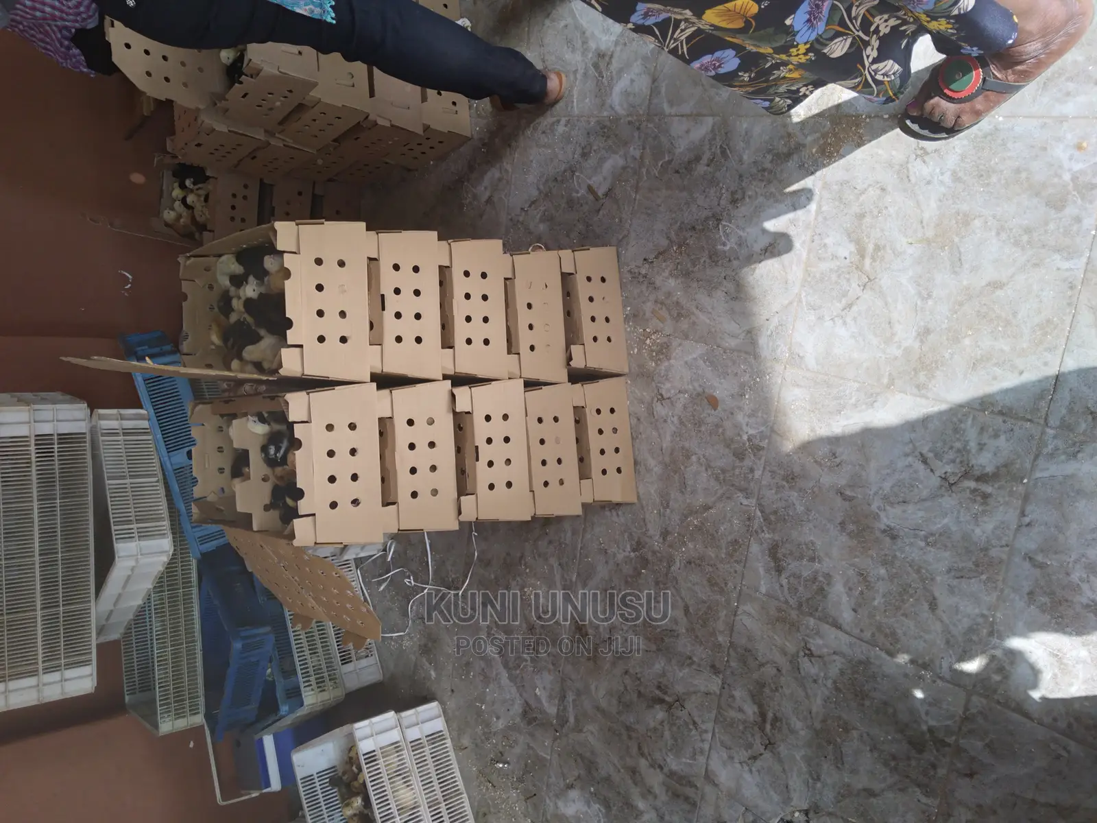 Day Old Kroilers on Tuesdays at Kabowa Near Ndeeba
