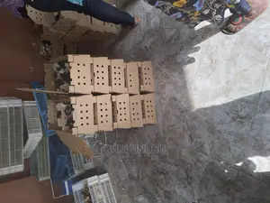 Day Old Kroilers on Tuesdays at Kabowa Near Ndeeba