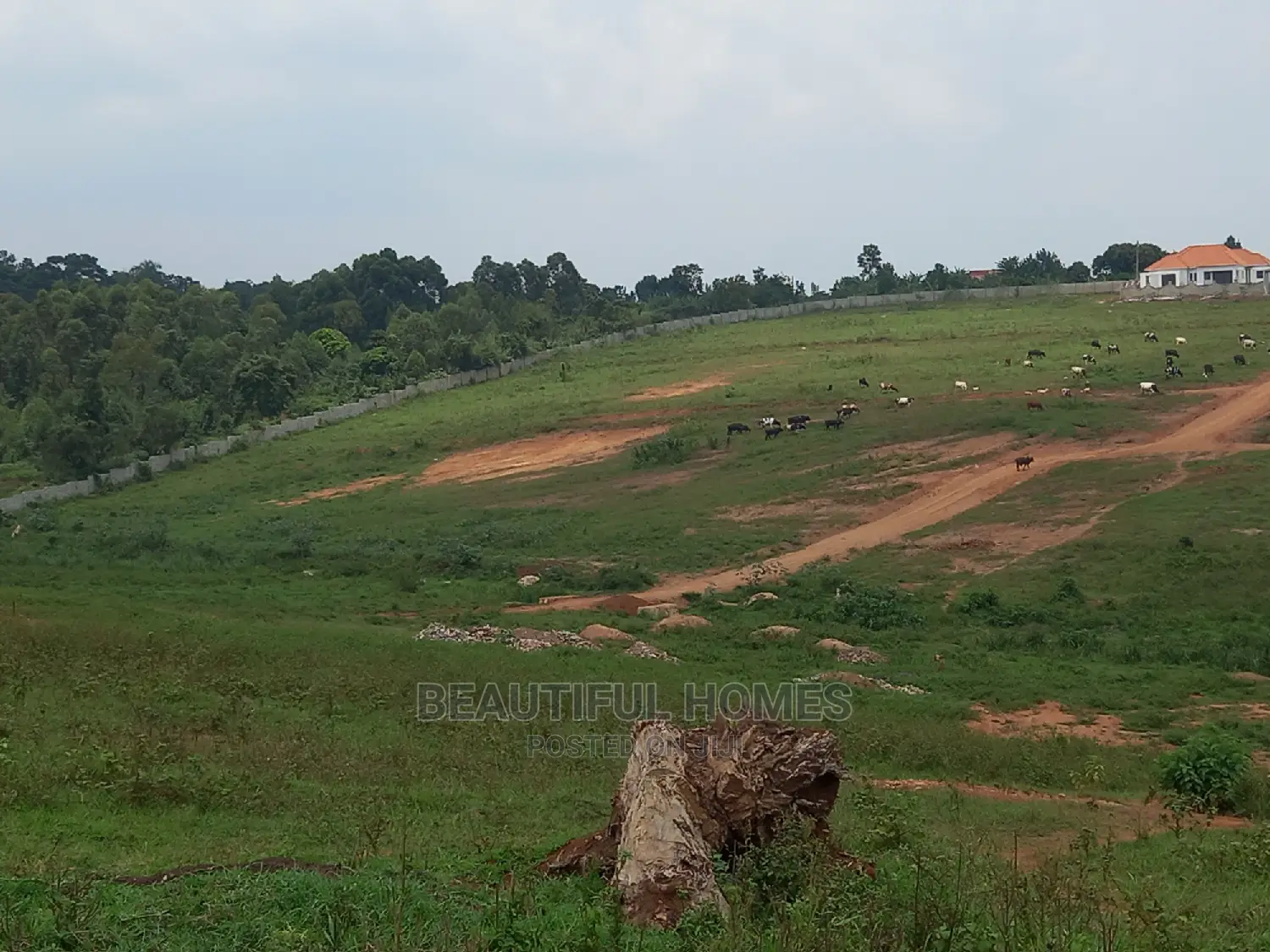 Two Plots at Kasangati Gated Prime Estate
