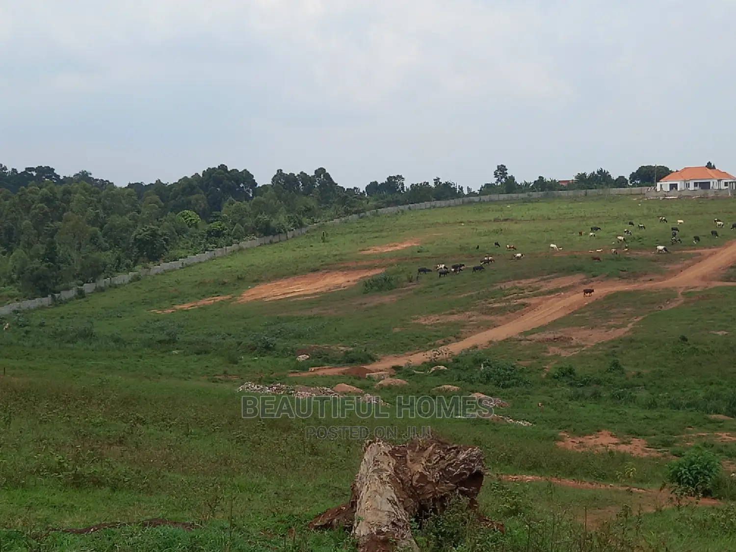 Kasangati Nice 2 Plots Gated Area on Sell