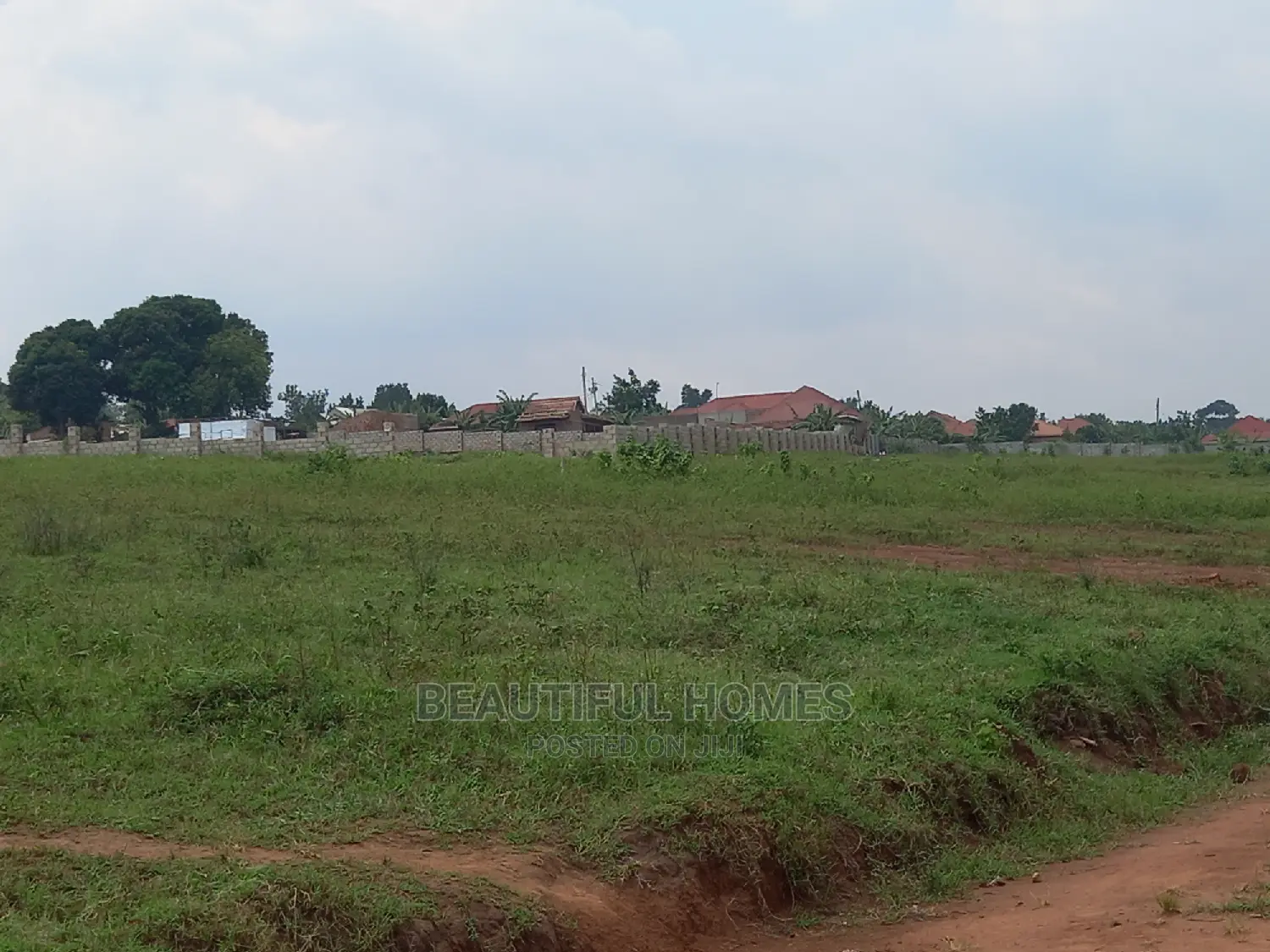 Kasangati Two Gorgeous Plots All Fenced Estate