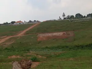 Kasangati 100 by 100 in Half London on Sell