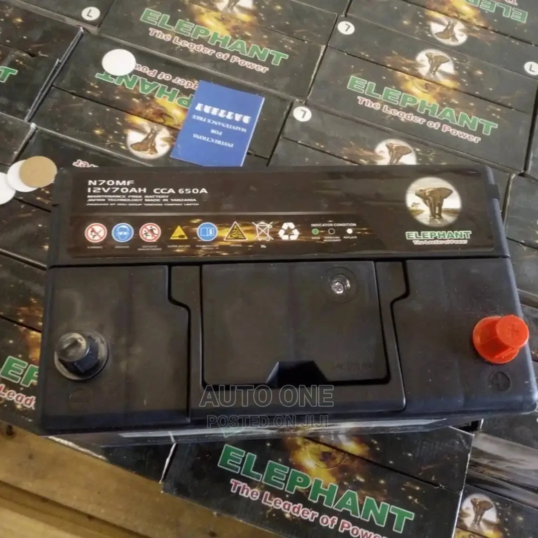 Rhino Elephant Batteries