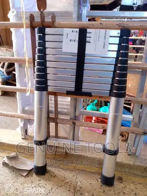 Ladder 3.2 M