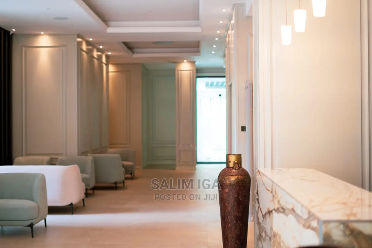 Furnished Studio Apartment in Kololo Property, Central Division