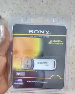 2GB Flash Disk