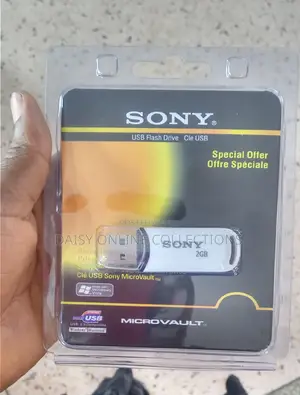 2GB Flash Disk
