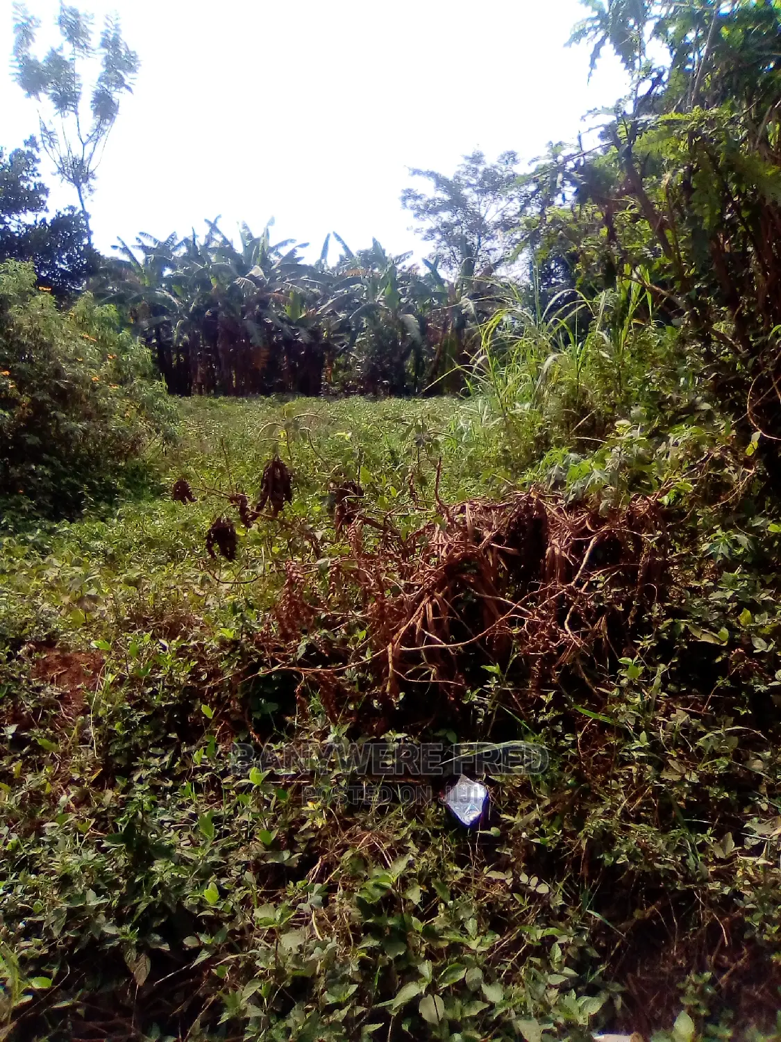10 Acres in Kyampogola Near Church of Uganda